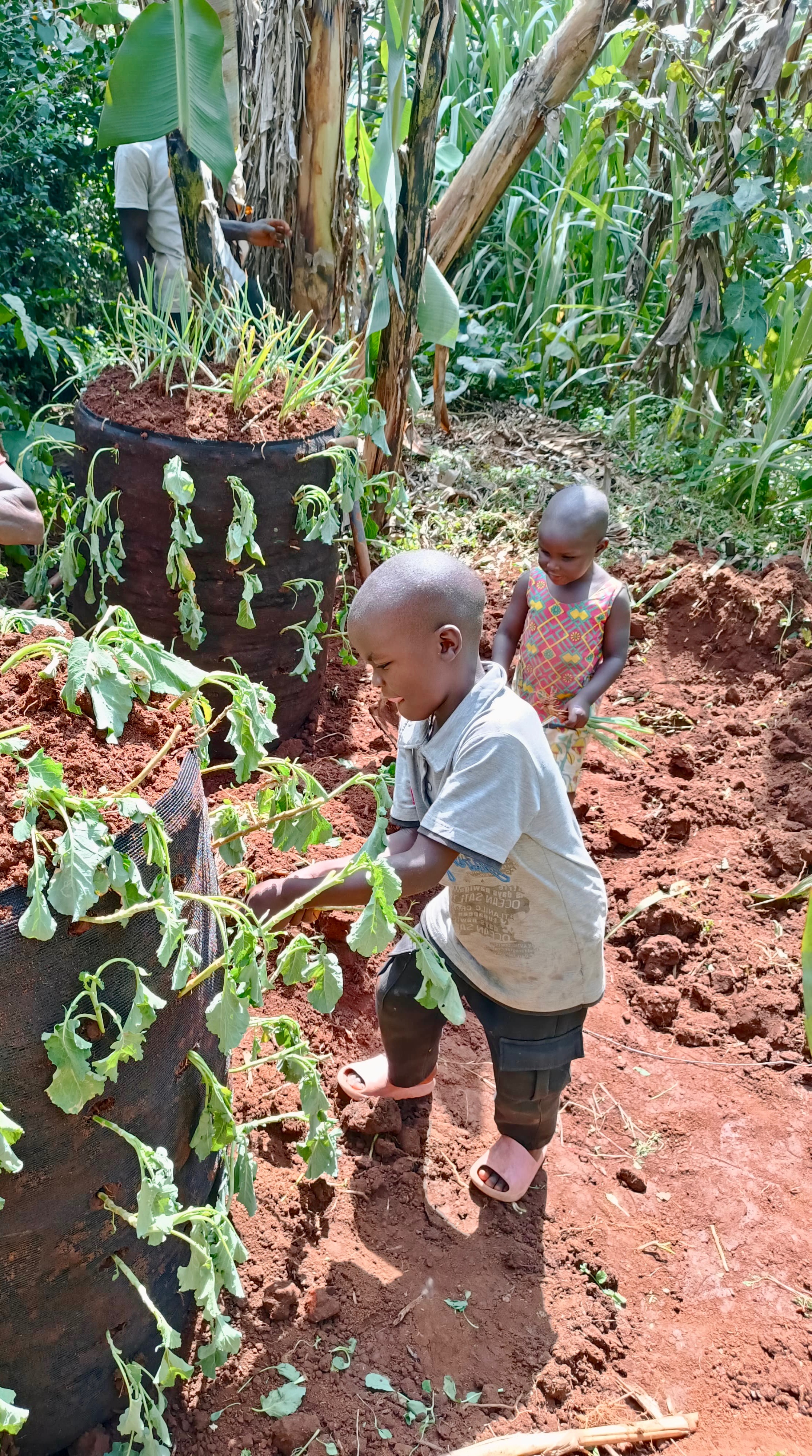 Children tending vegetables planted in garden towers through the Roots to Rise program